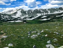 Medicine Bow National Forest in Wyoming X OC
