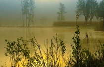 Medvkas lake Varna district Lithuania 