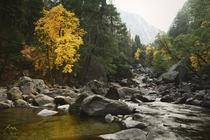 Merced Yosemite National Park 