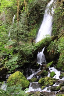 Merriman Falls Olympic National Park I fell in the stream after taking this picture OC 