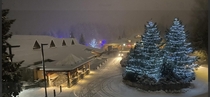 Merry Christmas in June from Whistler Canada 