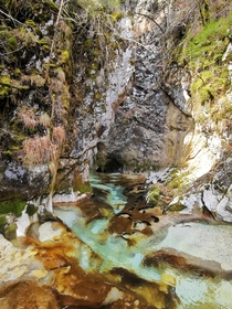 Mesmerizing river coming out of a gorge in Slovenia 