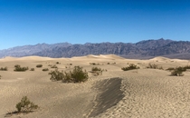 Mesquite Flat Sand Dunes in Death Valley CA United States  