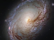 Messier  a spiral galaxy just over  million light-years away in the constellation of Leo The Lion It is of about the same mass and size as the Milky Way ESAHubble amp NASA and the LEGUS Team 