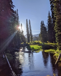 Middle Santiam Wilderness Oregon 