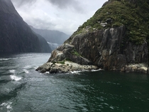 Milford Sound in Fiorland New Zealand Eighth Wonder of the World 