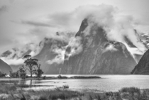 Milford Sound on any given day 