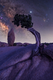 Milky Way and Jupiter over Joshua Tree  IG digitaltoddy