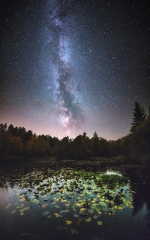 Milky Way over a forest lake in Denmark 
