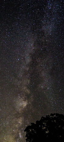 Milky Way over Michigan 