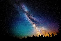 Milkyway over the forest 