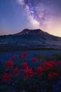 Milkyway shines above summer wildflowers in Mount Saint Helens National Volcanic Monument area 