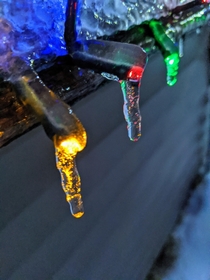 Mini lights in ice