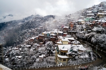 Minutes after Snowfall Shimla India OC