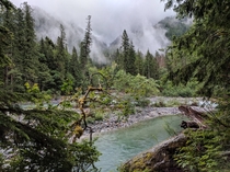 Misty and mysterious Baker LakeRiver area North Cascades 