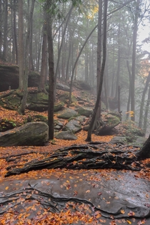 Misty Autumn Day in the Hocking Hills of Ohio 
