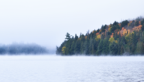 Misty Fall colors Algonquin Park Ontario 