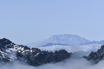 Misty Morning in Mount Rainier Washington 