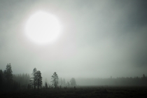 Misty Morning in Yellowstone 