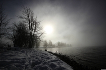 Misty morning on Bohinj lake Slovenia 