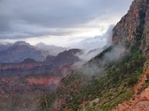 Misty Morning on South Kaibab Trail Grand Canyon National Park x 