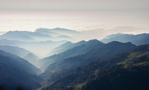 Misty mountains above the cloud layer Rize  Turkey 