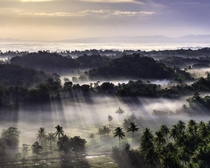 Misty View over the Chocolate Hills the Philippines  IG guswoods