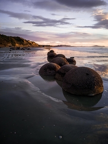 Moeraki Boulders At Sunrise NZ - It was definitely worth it getting up early for this - 