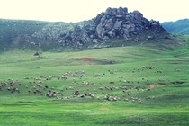 Mongolian landscape Outside of Ulaan Baatar OC 