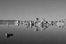 Mono Lake x 