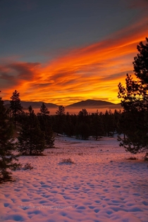 Montana sunrise photo by Mike Williams Photography