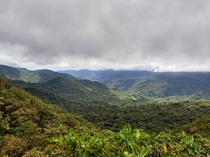 Monteverde Cloud Forest in central Costa Rica The northern trade winds blow forcefully all day every day constantly combing the roof of the forest smooth and level 