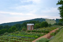 Monticello Gardens West Virginia  