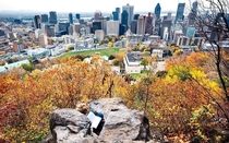 Montreal from Mont-Royal