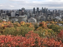 Montreal in Fall