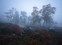 Moody autumn vibes in Hardangervidda National Park Norway 