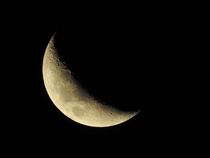 Moon from my yard 