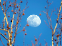 Moon in Oklahoma 