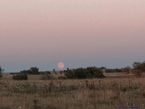 Moon rising at Vilas North Carolina 