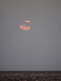 Moonrise Bohol Sea 