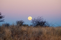 Moonrise over Etosha in Namibia just before the complete lunar eclipse in July  