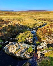 Moors of Snowdonia Wales 