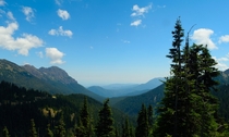 Moose Creek valley in Olympic National Park WA 