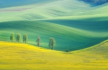 Moravian Fields Czech Republic  by Marcin Sobas