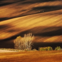 Moravian fields Czech Republic Photographer Pawel Kucharski