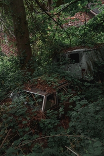 More abandoned cars from the woods