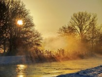 Morning fog amp winter sun Mecklenburg  Germany 