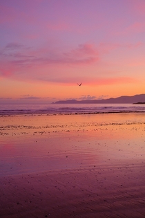 Morning sunrise at Aurere New Zealand 