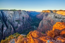 Morning View-Zion National Park 