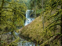 Moss and Waterfalls-Silver Falls State Park OR 